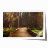 Extra large rolled print of Louisiana scenery with vibrant green and floral accents, ideal for art wall dining room.
