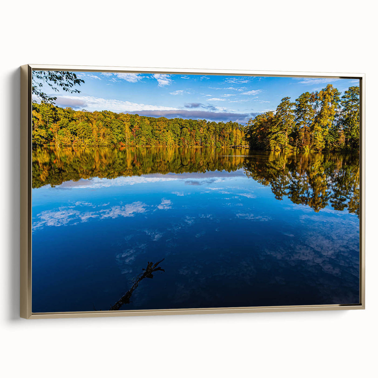 Framed canvas of a vintage-style Raleigh, North Carolina landscape in muted gold and black tones, ideal for bedroom decor.