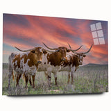Large abstract wall art depicting Oklahoma scenery in muted earth tones on acrylic glass.