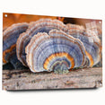 Large abstract wall art of Pennsylvania scenery on acrylic glass, with muted earth tones, ideal for dining room decor.