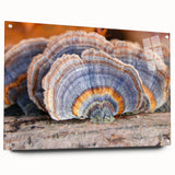 Large abstract wall art of Pennsylvania scenery on acrylic glass, with muted earth tones, ideal for dining room decor.