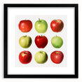 Extra large abstract art print of colorful fruits in a black frame, textured, ideal for living room decor.