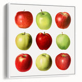 Vintage poster art of colorful fruits on a black background, printed on extra-large framed canvas.