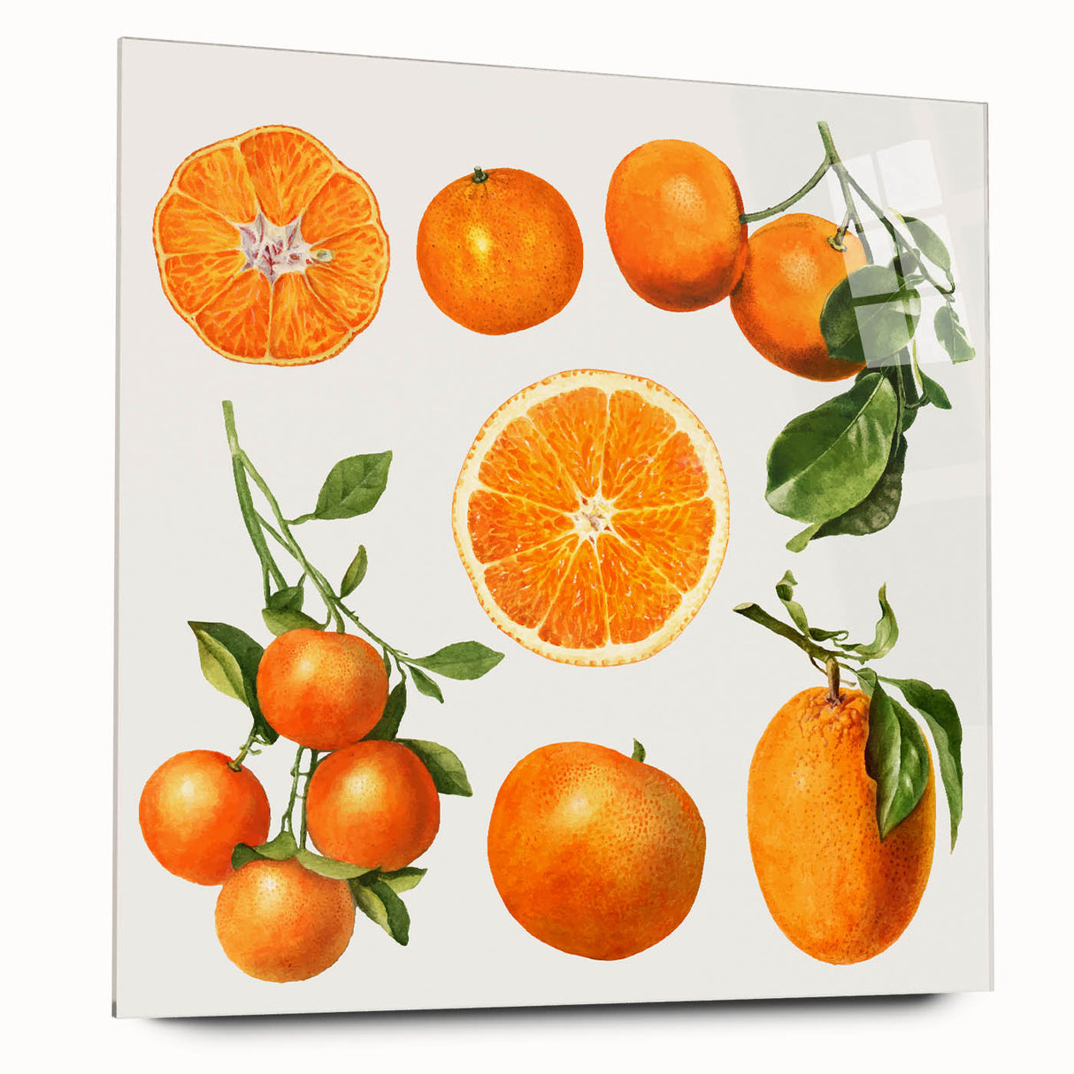 Large abstract wall art on acrylic glass featuring an array of fruits in vibrant colors.