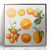 Mid-century modernist art featuring an array of fruits in vibrant colors, framed in acrylic with a silver border.