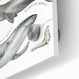 Ocean Life Kids Educational Wall Art - Learning Poster for Classrooms