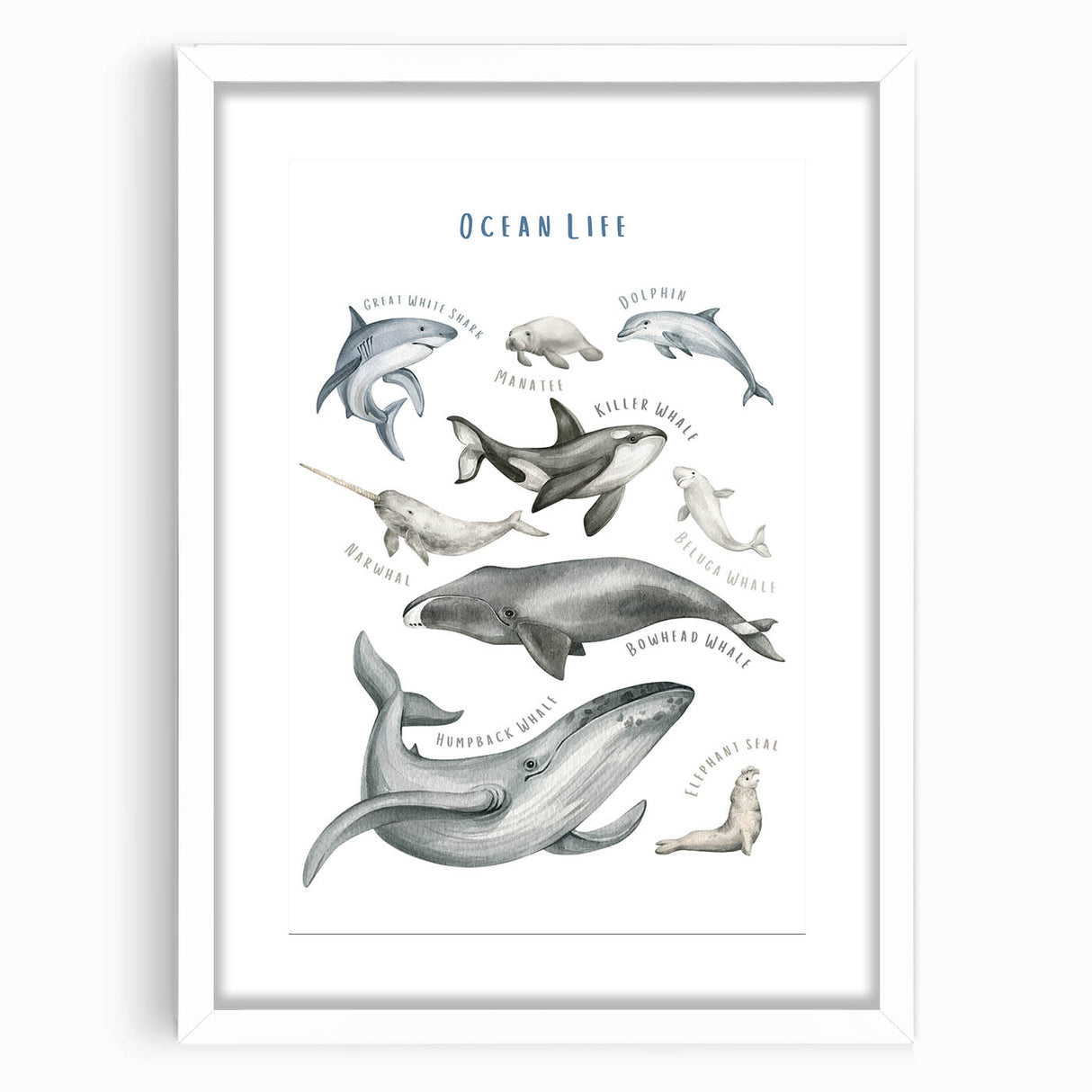 Ocean Life Kids Educational Wall Art - Learning Poster for Classrooms