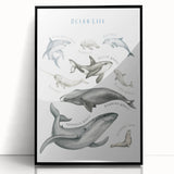 Ocean Life Kids Educational Wall Art - Learning Poster for Classrooms