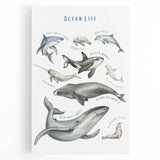Ocean Life Kids Educational Wall Art - Learning Poster for Classrooms