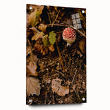 Large abstract wall art depicting autumnal trees in warm orange and red tones on acrylic glass.