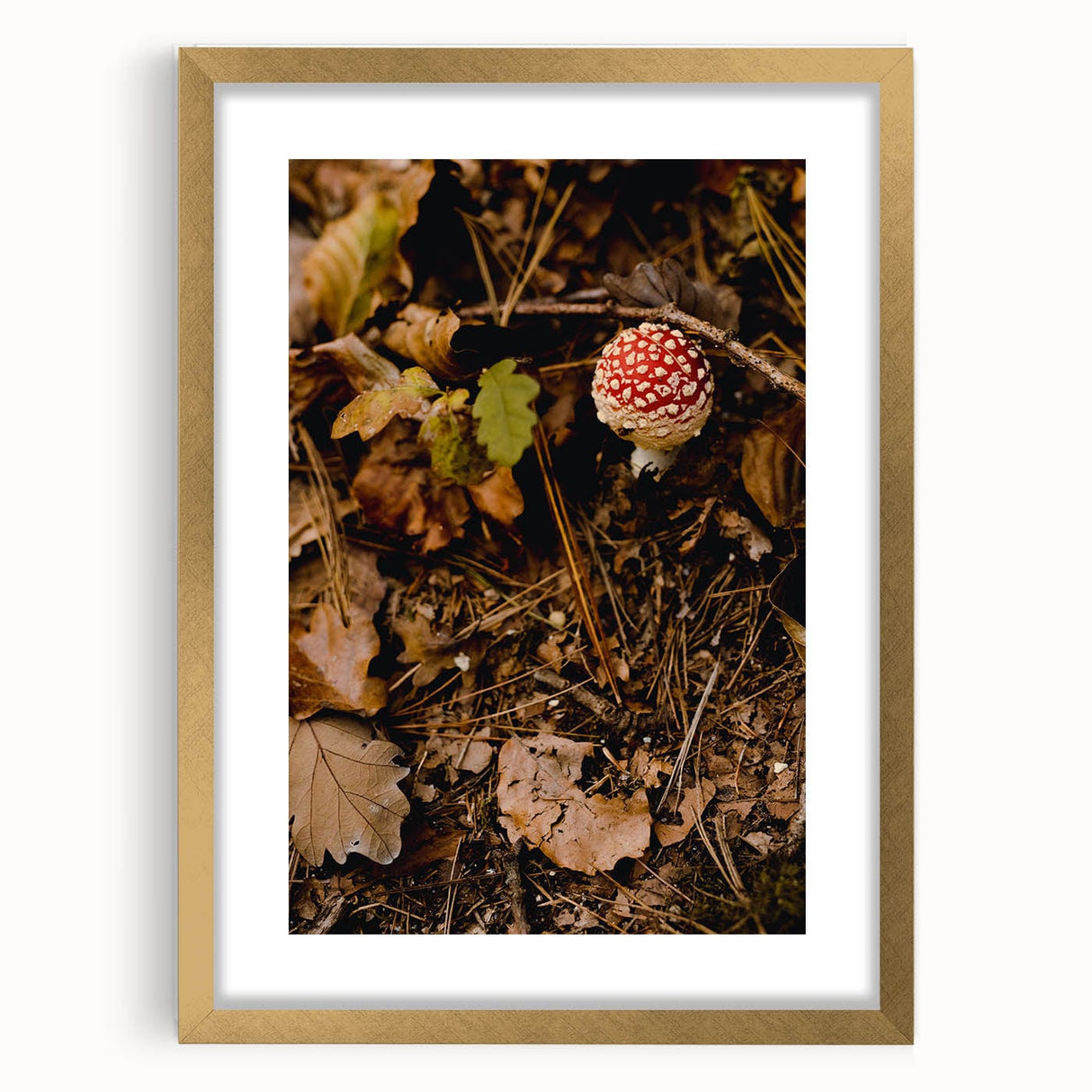 Extra large abstract art print with textured autumn hues in a gold frame, ideal for living room decor.