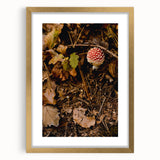 Extra large abstract art print with textured autumn hues in a gold frame, ideal for living room decor.