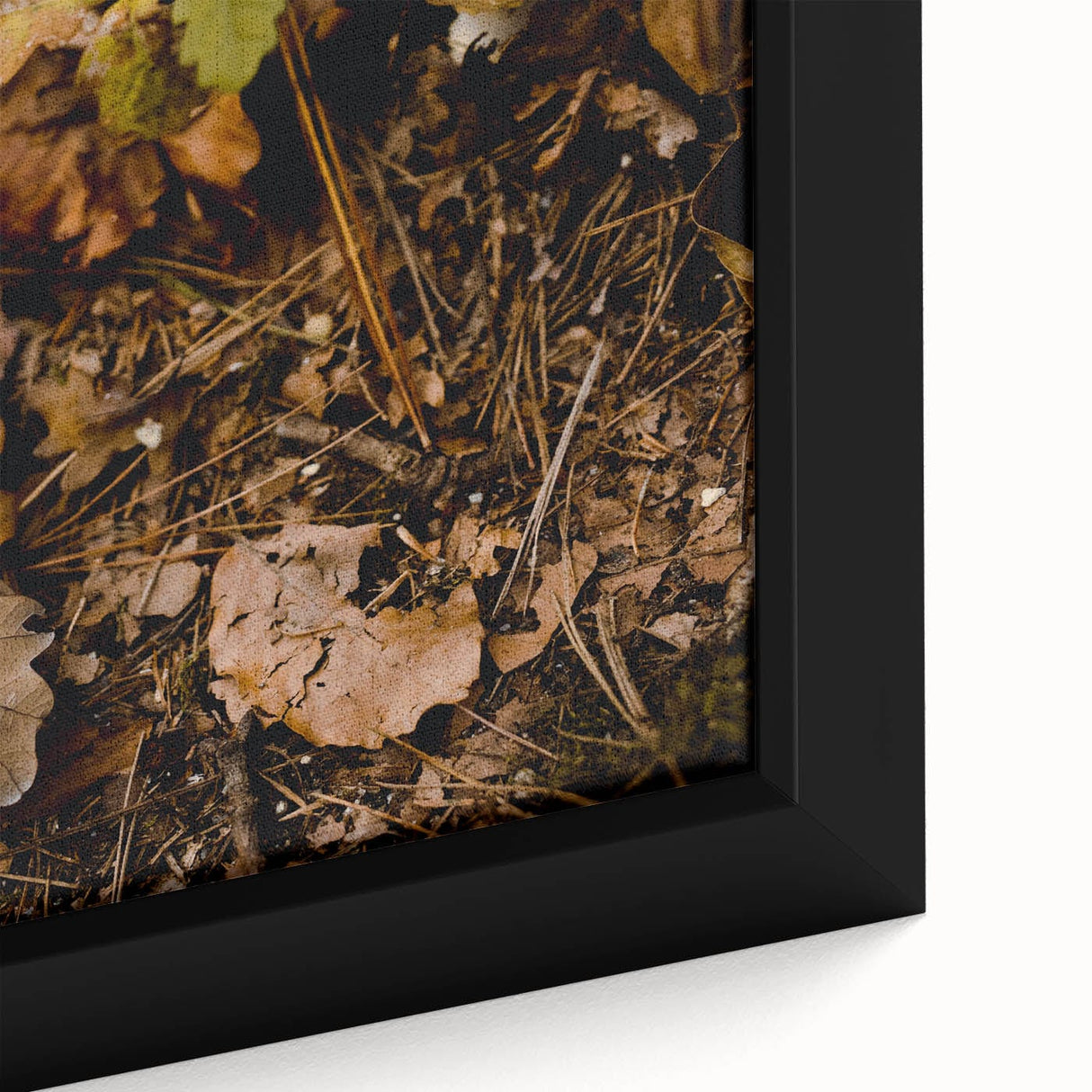 Close-up of a framed canvas featuring textured, colorful art with black background depicting autumn leaves.