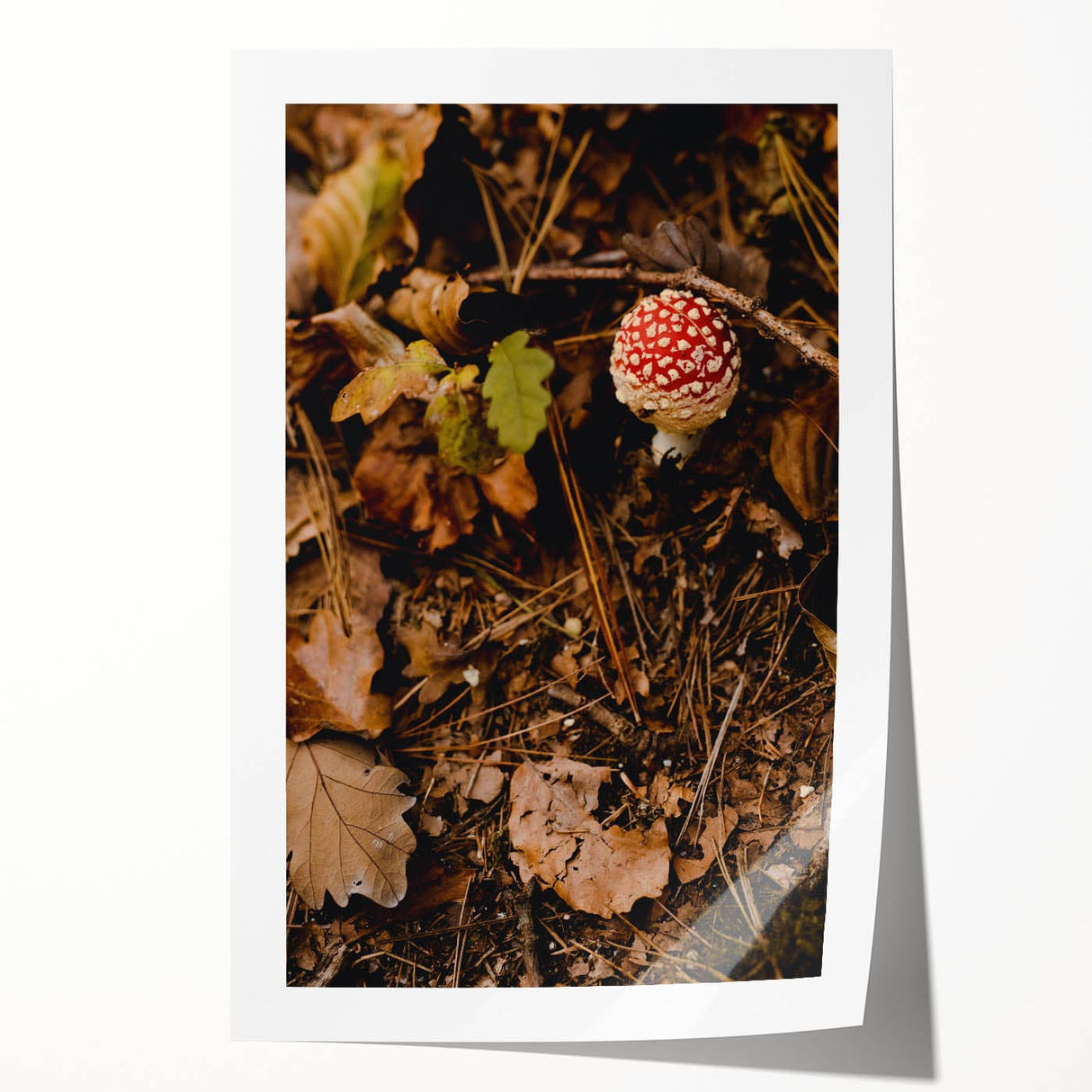 Extra large rolled print of a floral art with autumnal shades, ideal for art wall dining room or bathroom.