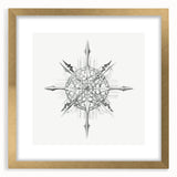 Modern Wall Art – Intricate Vintage Marine Life Illustration