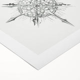 Modern Wall Art – Intricate Vintage Marine Life Illustration