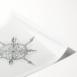 Modern Wall Art – Intricate Vintage Marine Life Illustration