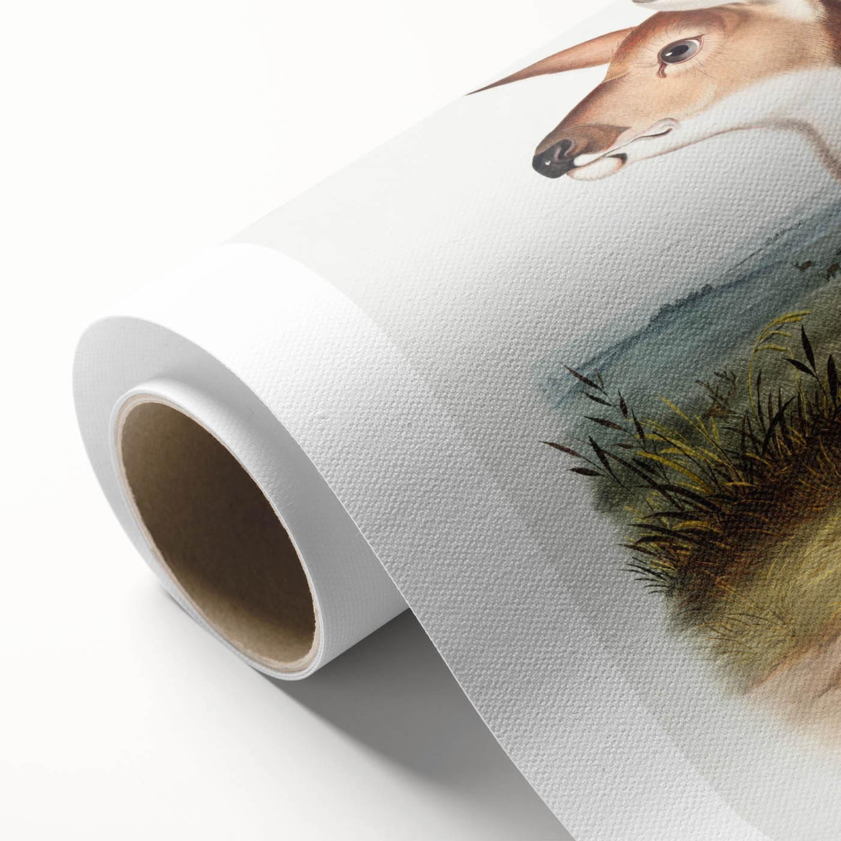 Classic Romantic Paintings - American Deer Illustration Canvas Art