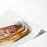 Classic Romantic Paintings - American Deer Illustration Canvas Art