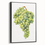Black and white framed canvas featuring a vintage poster art style landscape with fruit, ideal for bedroom wall decor.