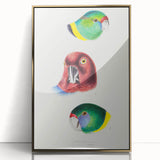 Famous Romantic Era Art - Australian Bird Heads Illustration Canvas Print