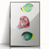 Famous Romantic Era Art - Australian Bird Heads Illustration Canvas Print