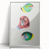 Famous Romantic Era Art - Australian Bird Heads Illustration Canvas Print