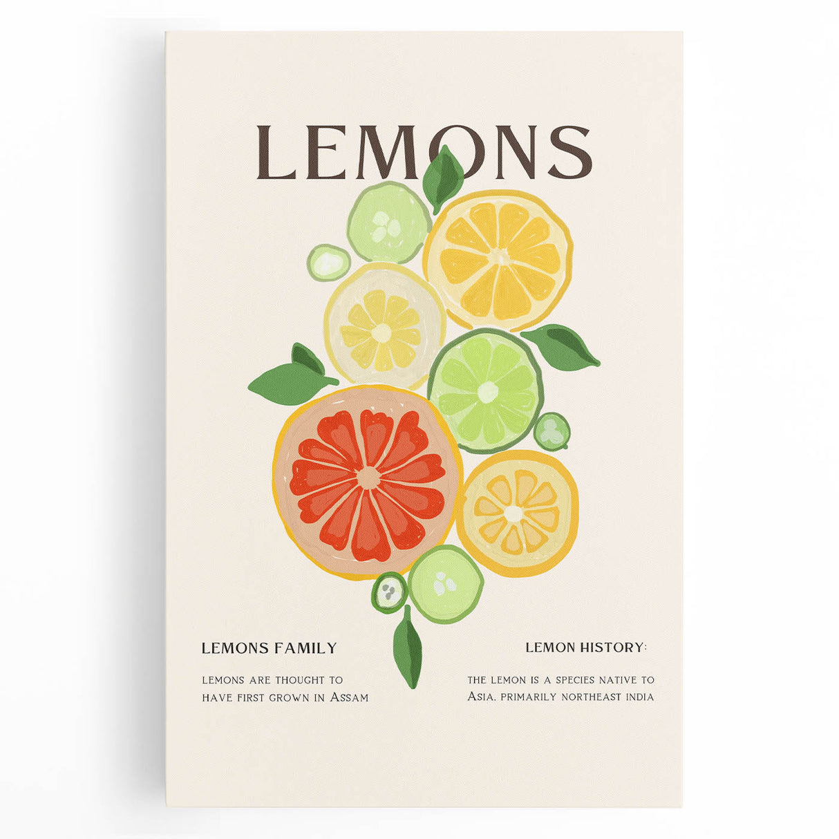 Large black and white stretched canvas featuring an assortment of fruits and vegetables, ideal for kitchen wall art.