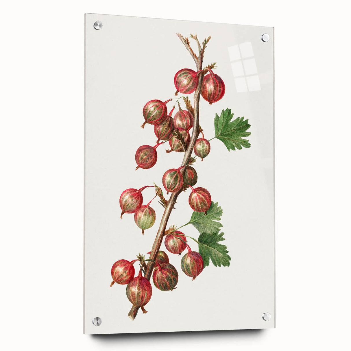Large abstract wall art on acrylic glass featuring an assortment of fruits in vibrant colors, ideal for dining room decor.