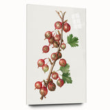 Large abstract wall art featuring assorted fruits in bright, vivid colors on acrylic glass.