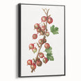 Black and white framed canvas featuring a vintage poster art style landscape with assorted fruits.
