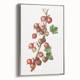 Framed canvas of vintage poster art featuring a colorful array of fruits on a black background, suitable for kitchen decor.