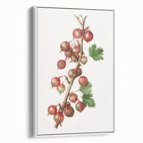 Vintage poster art of colorful fruits on a black background, framed canvas, ideal for living room decor.