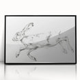 Framed acrylic artwork showcasing a detailed black and white animal design, featuring intricate line work and a modern aesthetic, perfect for home decor enhancement.