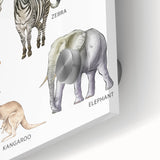Herbivores Kids Educational Wall Art - Learning Poster for Classrooms