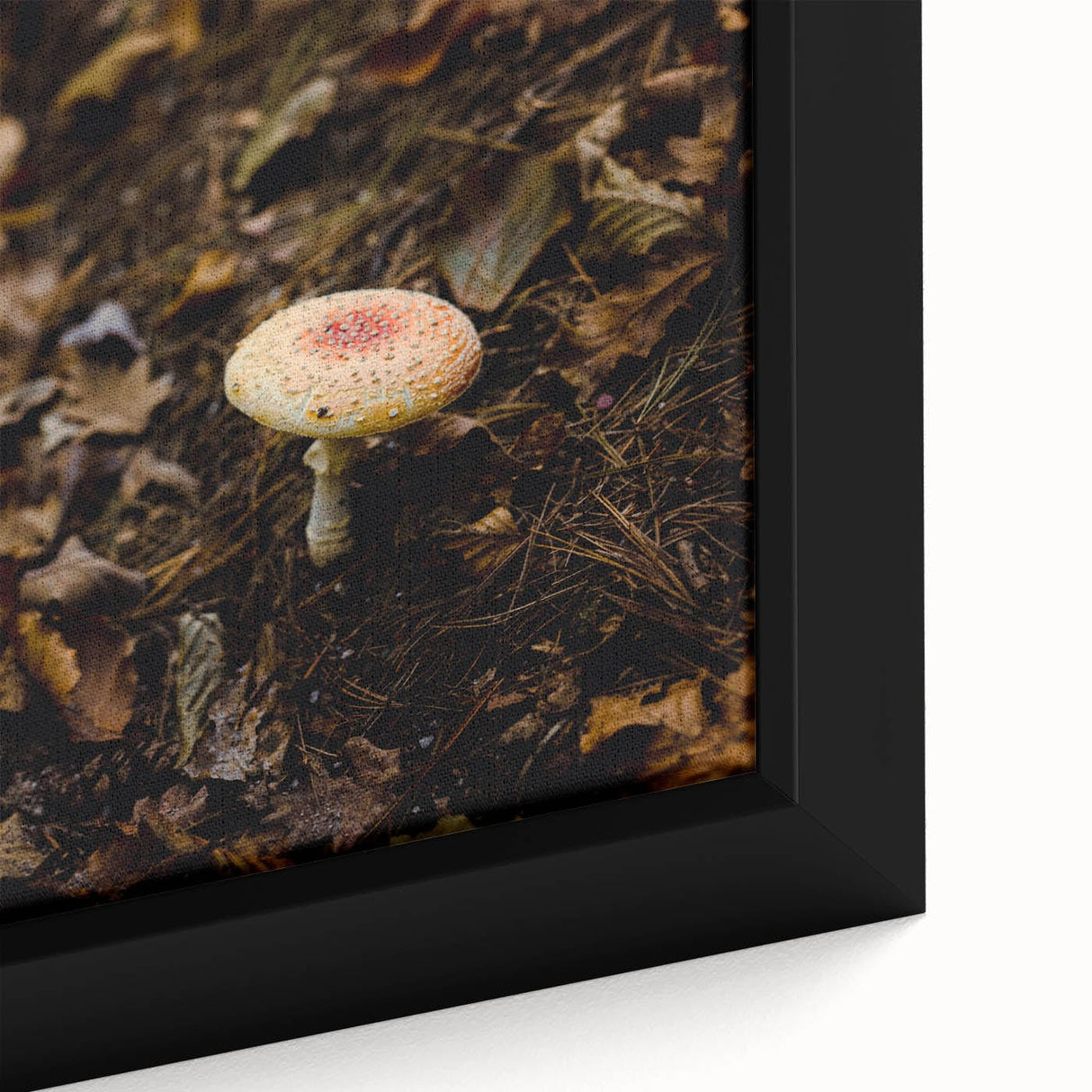 Close-up of a framed canvas featuring textured black wall art with colorful, abstract fall motifs.
