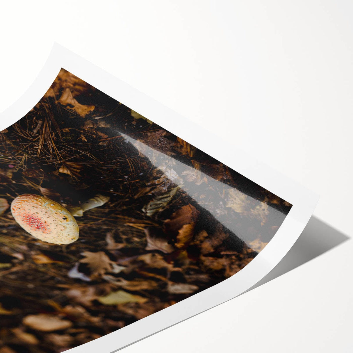 Extra large wall art featuring line art flowers in muted earth tones on a rolled canvas.