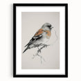 Framed animal portrait art in a sleek black matte finish, showcasing detailed illustrations of various wildlife, perfect for enhancing home decor or an office space.