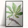 Antique Botanical Plant Print - Sarah Featon Realism Nature Art Decor