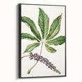 Antique Botanical Plant Print - Sarah Featon Realism Nature Art Decor