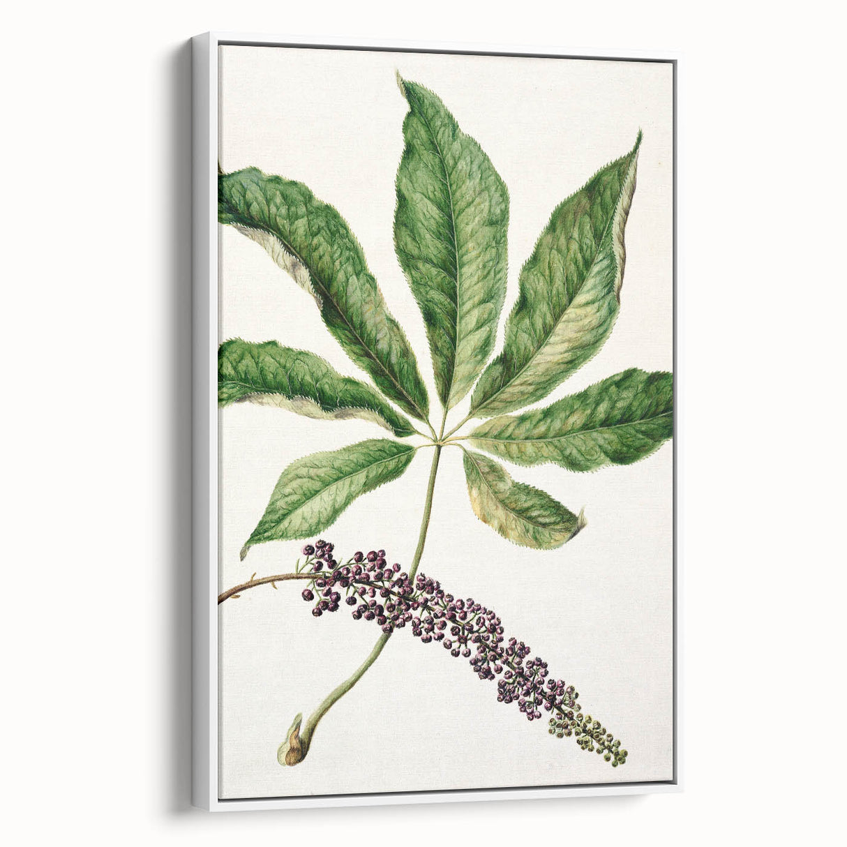 Antique Botanical Plant Print - Sarah Featon Realism Nature Art Decor