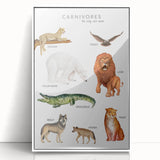 Carnivores Kids Educational Wall Art - Learning Poster for Classrooms