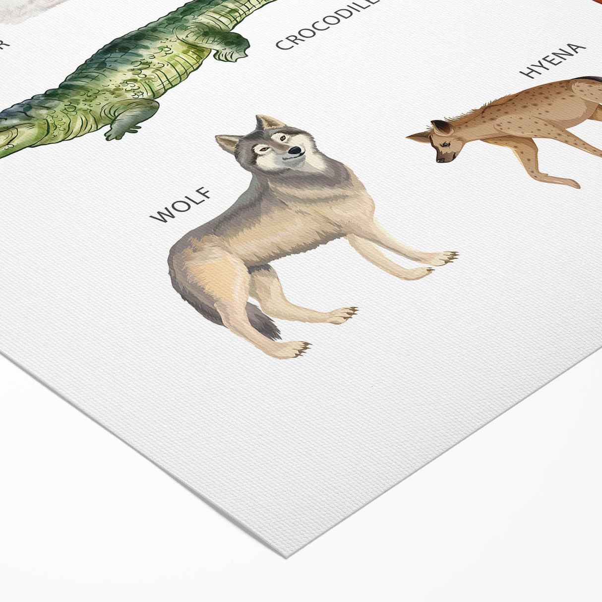 Carnivores Kids Educational Wall Art - Learning Poster for Classrooms