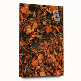 Large abstract wall art depicting autumnal trees in orange and red hues on acrylic glass.