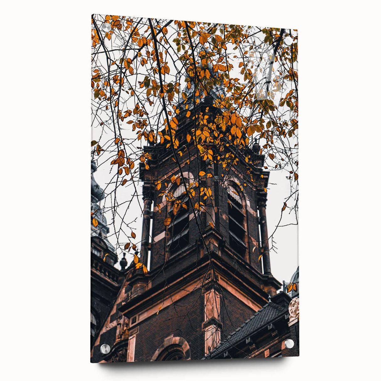 Large abstract wall art depicting autumn foliage in red and orange tones on acrylic glass.