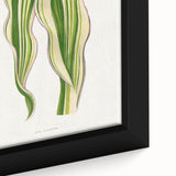 Historical Romanticism Canvas: Green Zea Japonica - Classic Art Prints