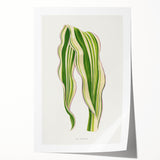 Historical Romanticism Canvas: Green Zea Japonica - Classic Art Prints