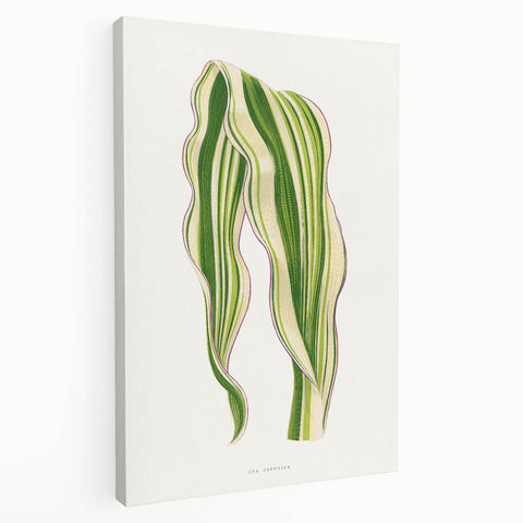Historical Romanticism Canvas: Green Zea Japonica - Classic Art Prints