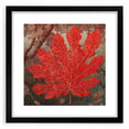 Framed wall art showcasing a floral and botanical design with intricate leaves, featuring a sleek black frame and a white mat, ideal for modern decor.