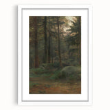 Serene Realism Art Print – Coniferous Woods with Rocks